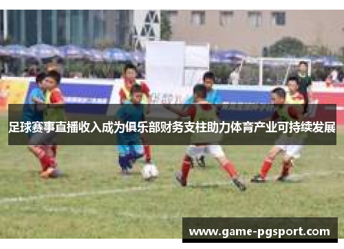 足球赛事直播收入成为俱乐部财务支柱助力体育产业可持续发展